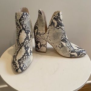 Steve Madden Rockstar Booties, Snakeskin